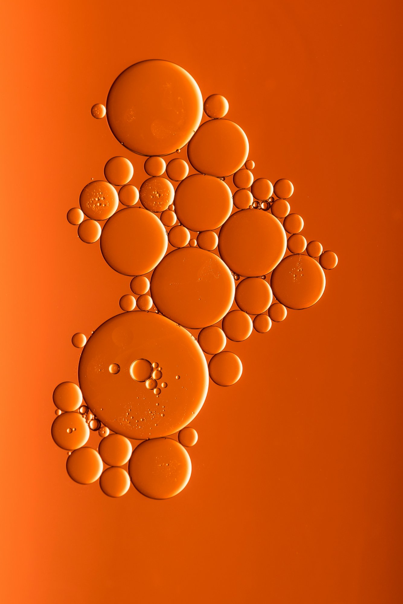 Capsulent microcapsule oil droplets